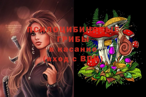 spice Щигры