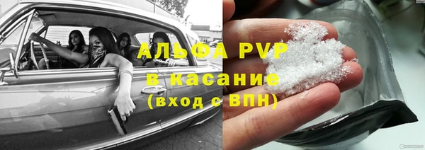 стаф Щёлкино