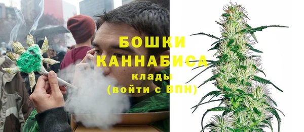 стаф Щёлкино