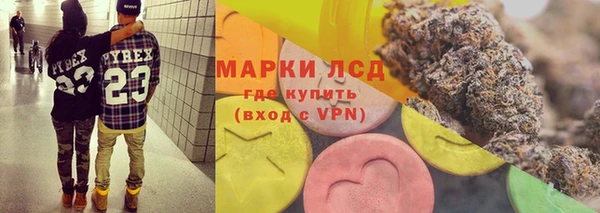 spice Щигры