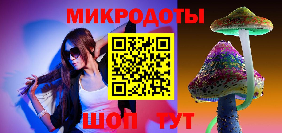 Галлюциногенные грибы Psilocybe Ставрополь