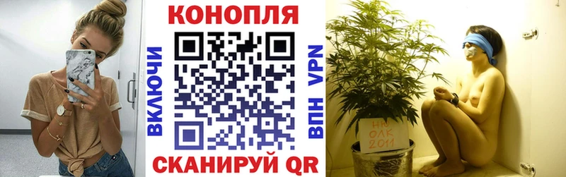 закладка  Ставрополь  Канабис White Widow 